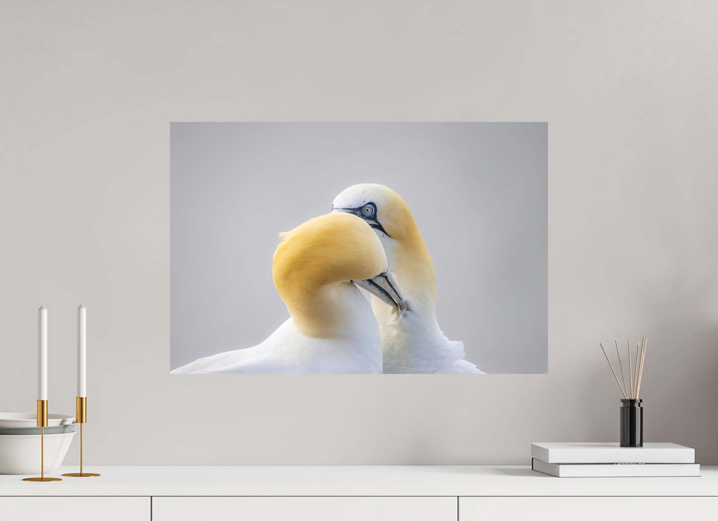 60 x 40 cm, Textured Matte Preening
