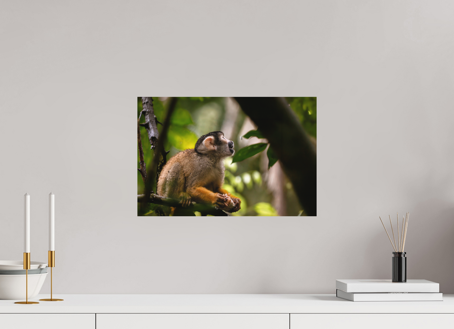 45 x 30 cm, Textured Matte Squirrel Monkey