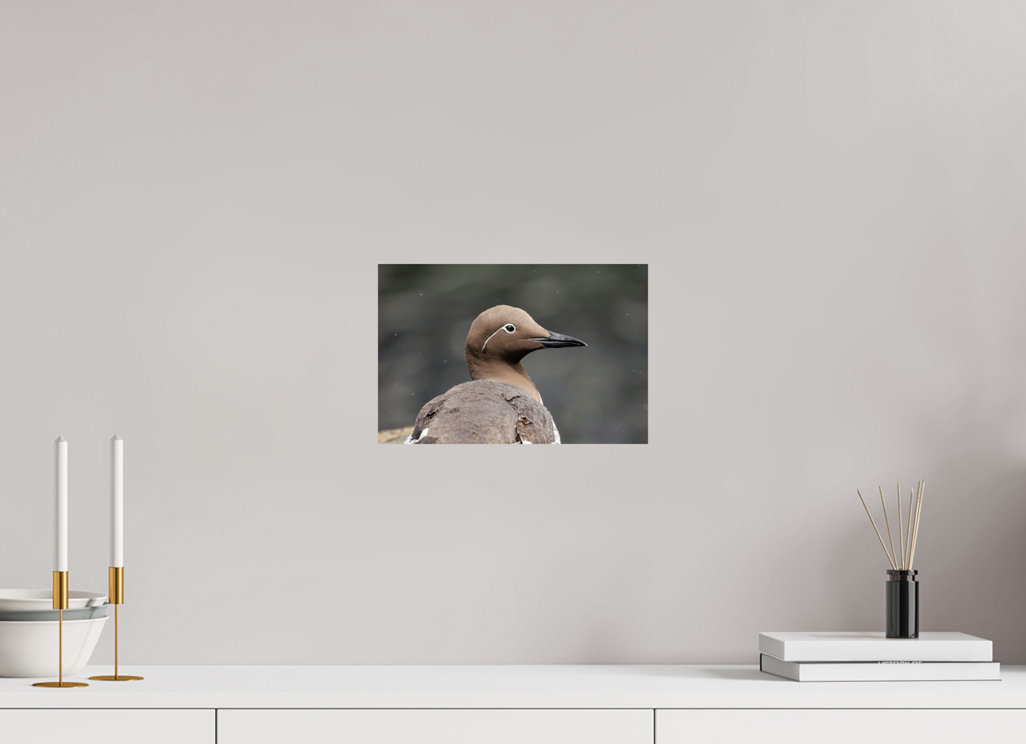 30 x 20 cm, Smooth Glossy Guillemot