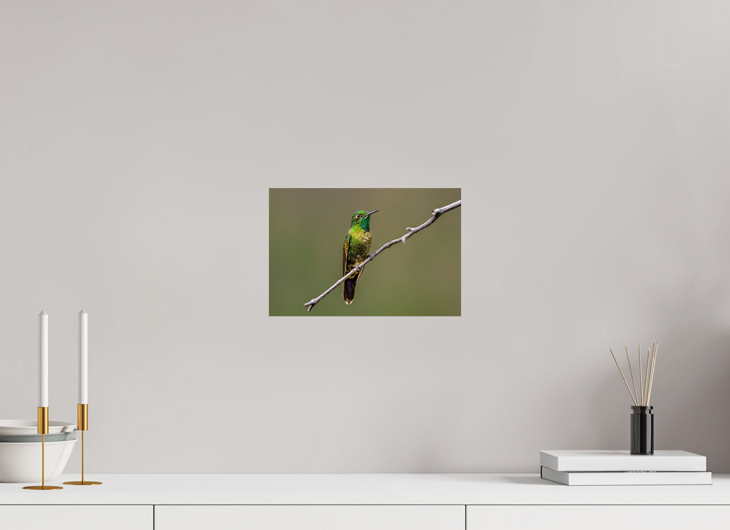 30 x 20 cm, Smooth Glossy hummingbird5