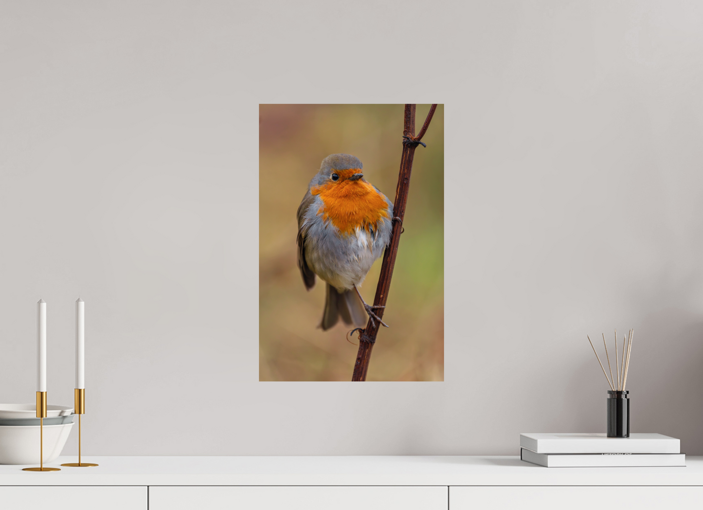 30 x 45 cm, Smooth Glossy Robin