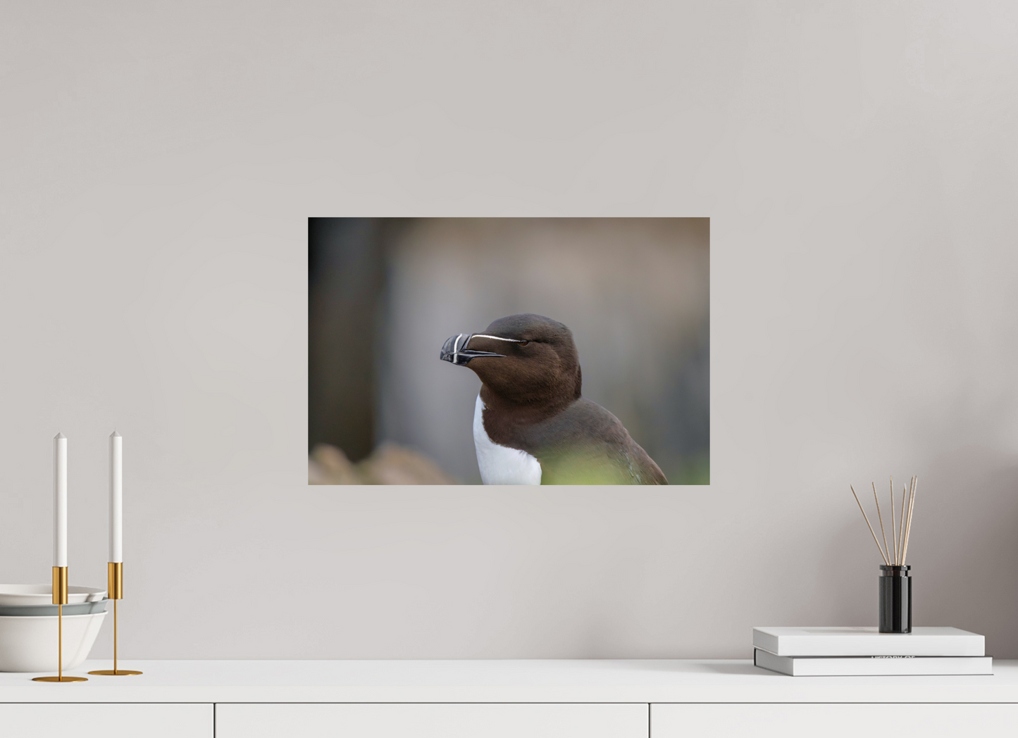 45 x 30 cm, Smooth Glossy Razorbill