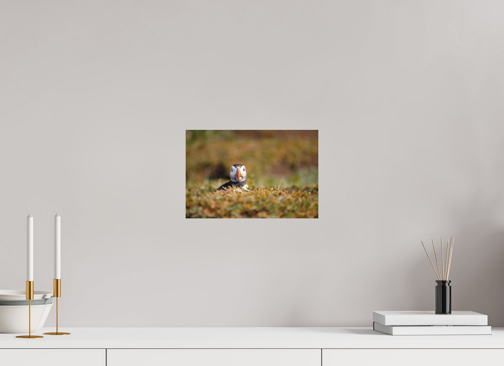30 x 20 cm, Textured Matte puffin5