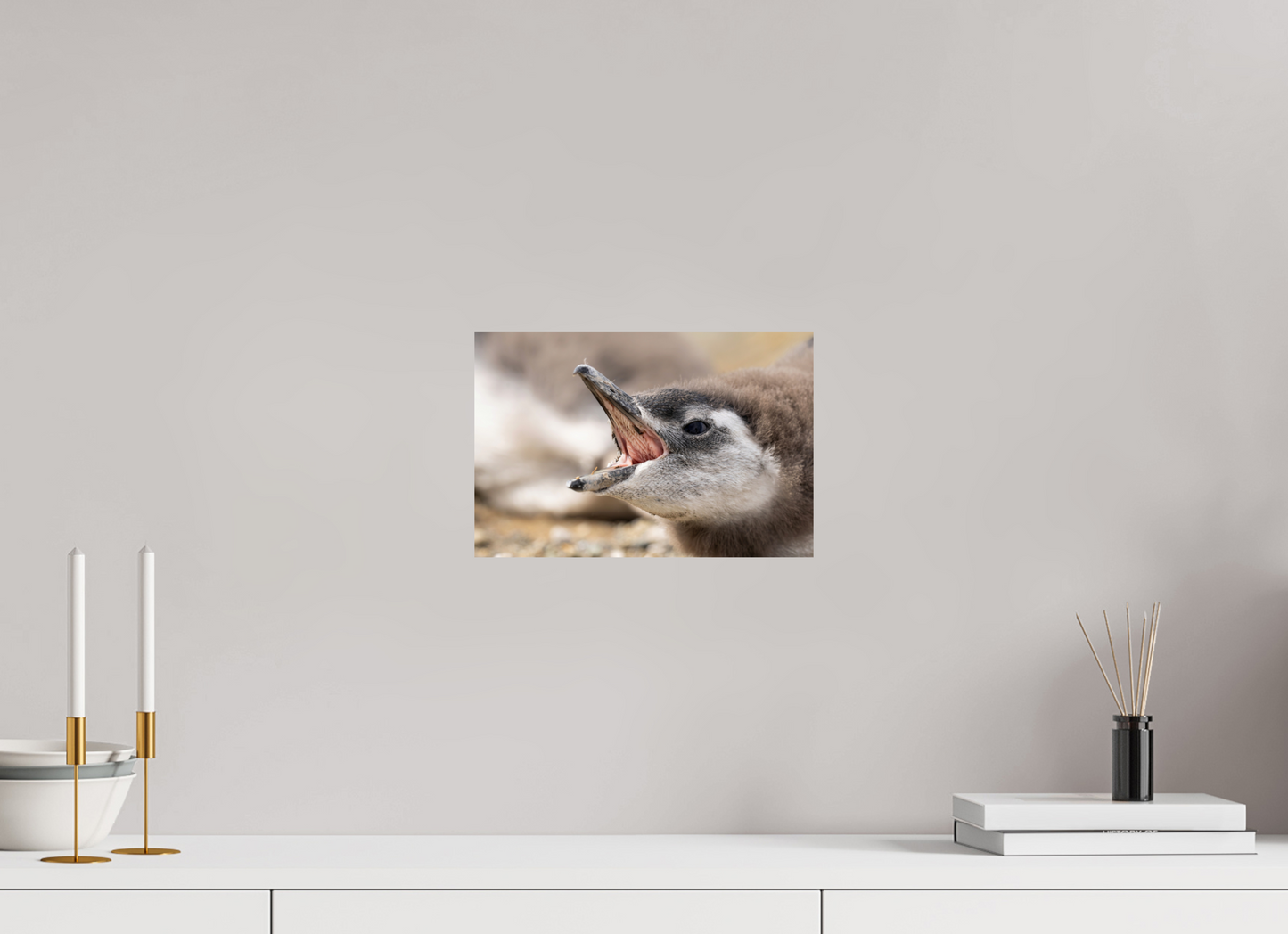 30 x 20 cm, Smooth Glossy Penguins call