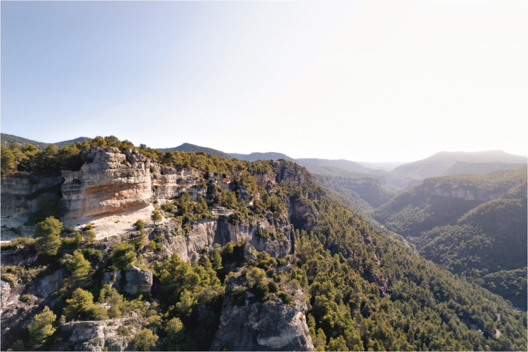 Main image The Mountain Path