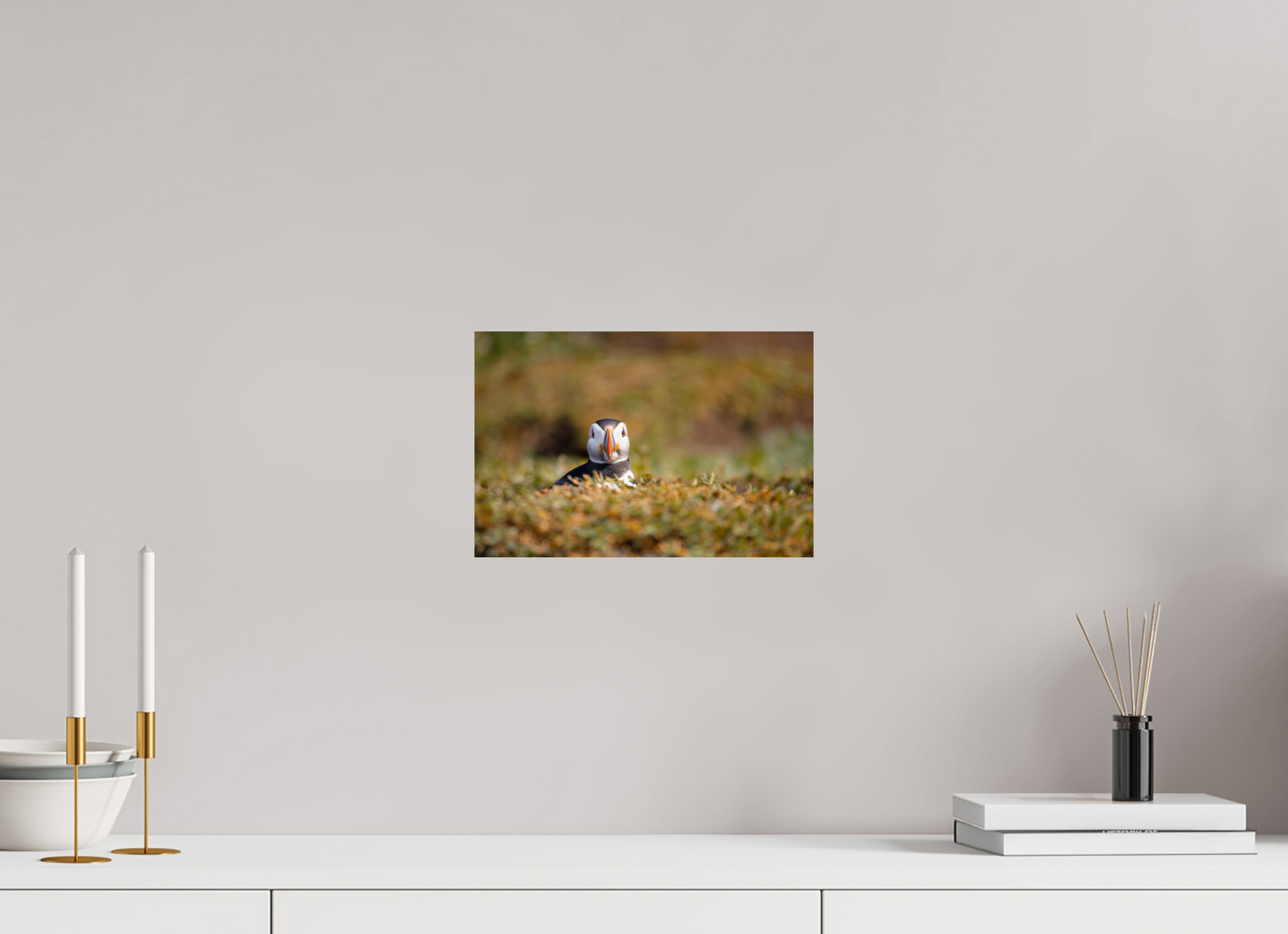 30 x 20 cm, Smooth Glossy puffin5