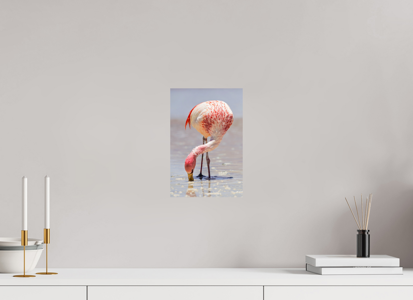 20 x 30 cm, Smooth Glossy Andean Flamingo