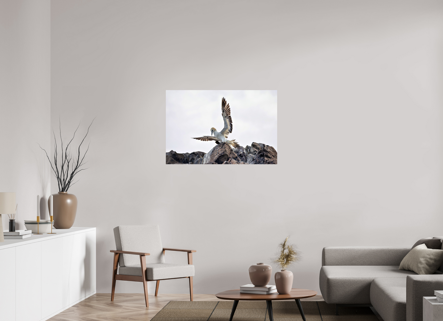 105 x 70 cm, Smooth Glossy gannet landing