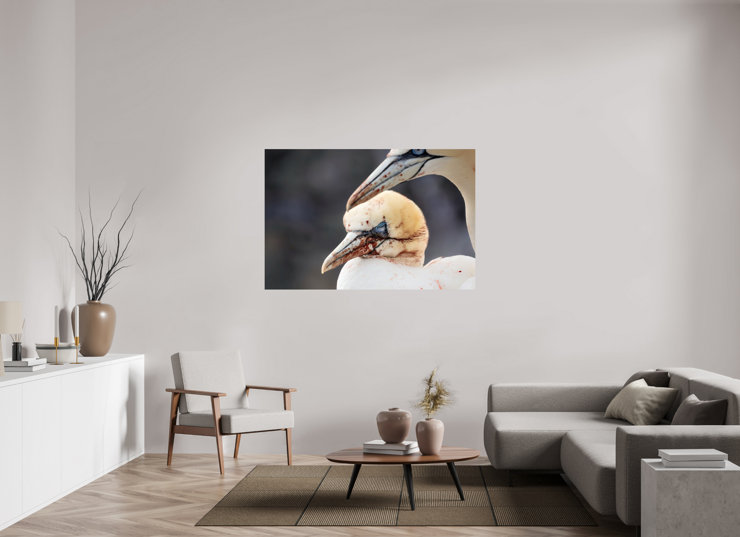 150 x 100 cm, Smooth Glossy Fighting gannets