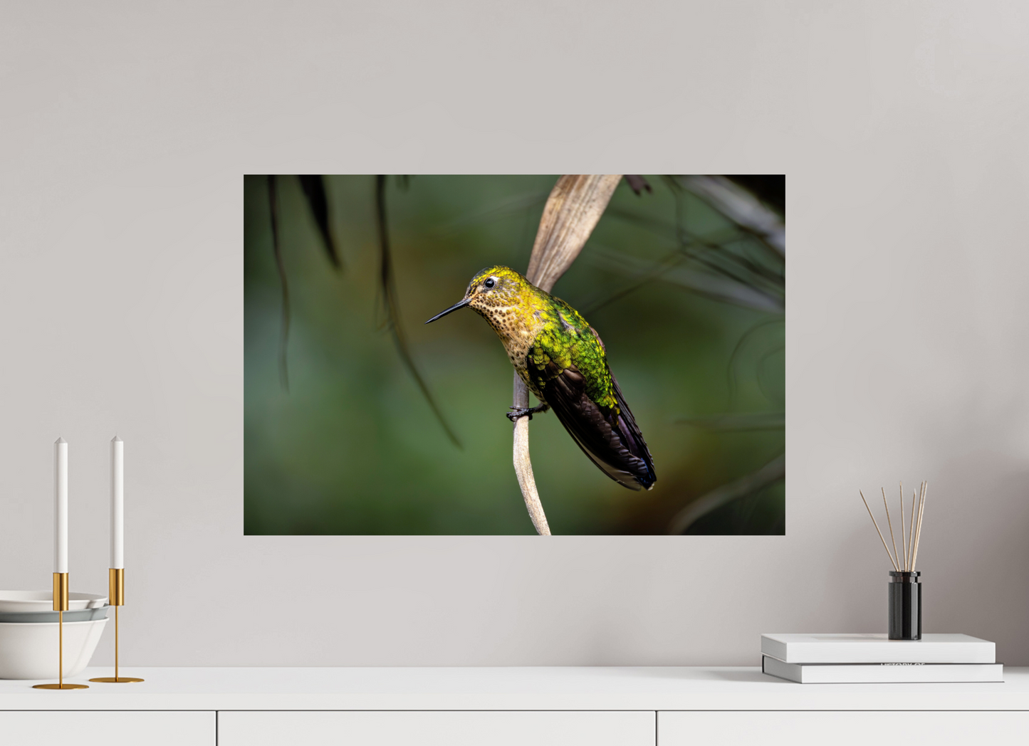 60 x 40 cm, Smooth Glossy hummingbird 3