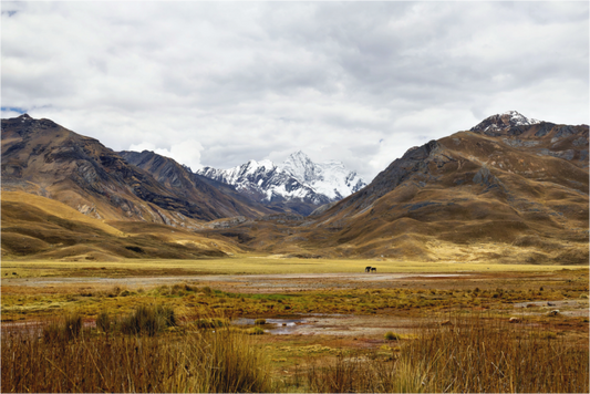 Main image valley