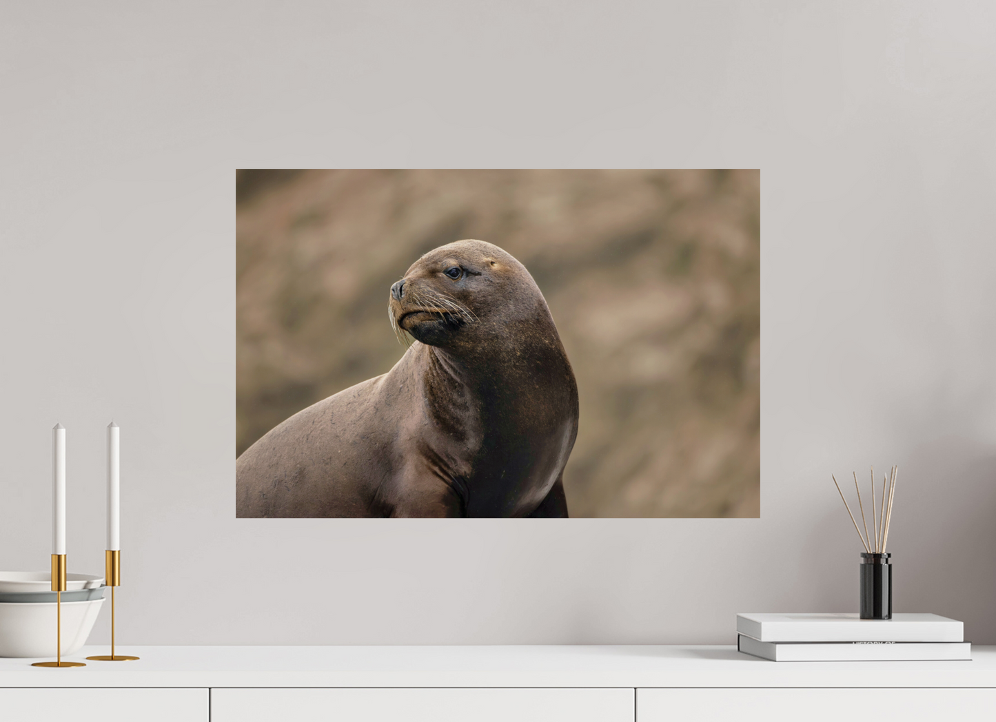 60 x 40 cm, Smooth Glossy sea lion 3