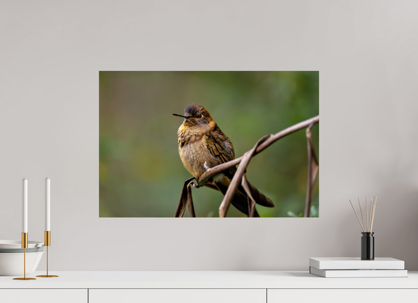 60 x 40 cm, Smooth Glossy hummingbird10