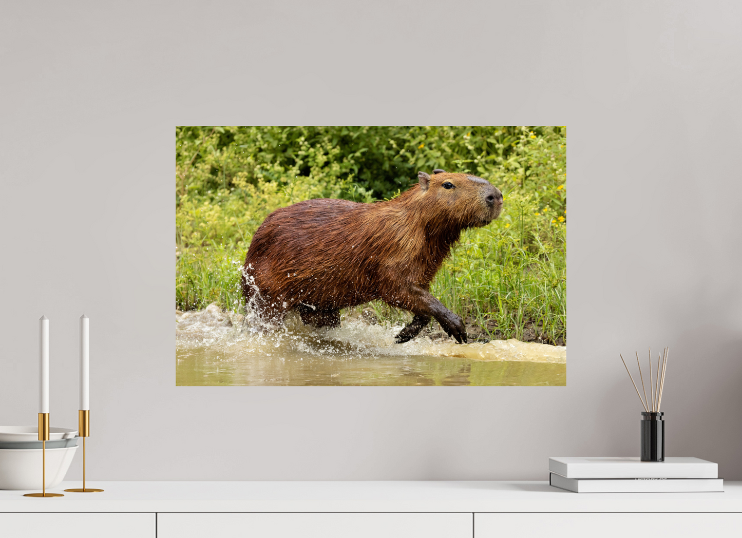 60 x 40 cm, Smooth Glossy Capybara
