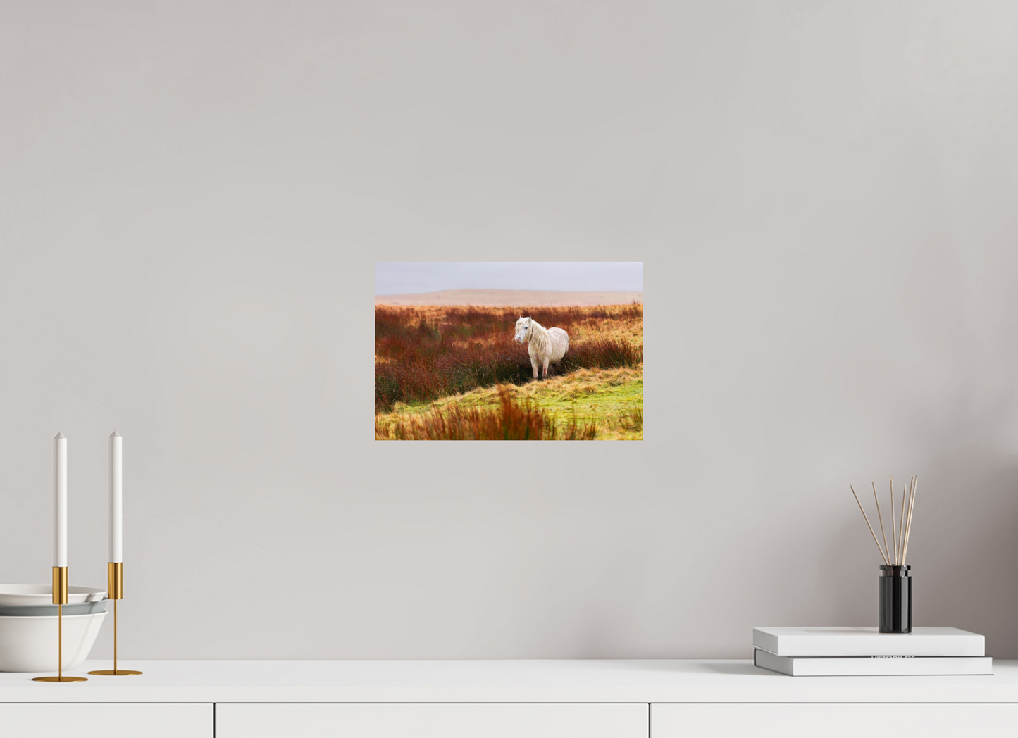30 x 20 cm, Smooth Glossy Horse