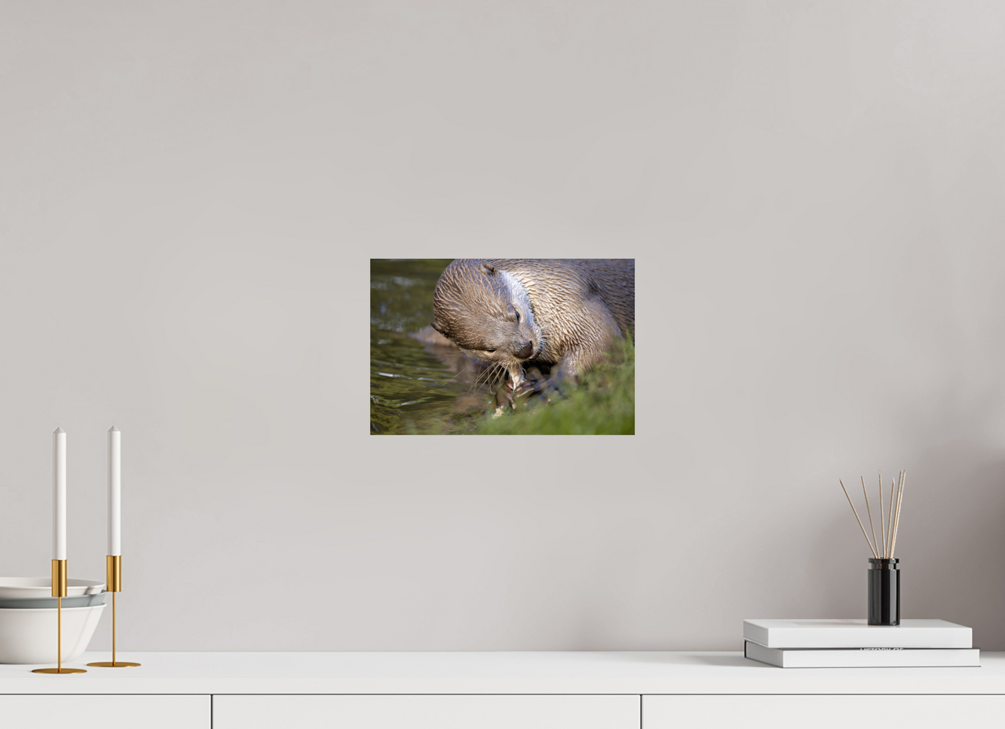 30 x 20 cm, Smooth Glossy otter eating fish