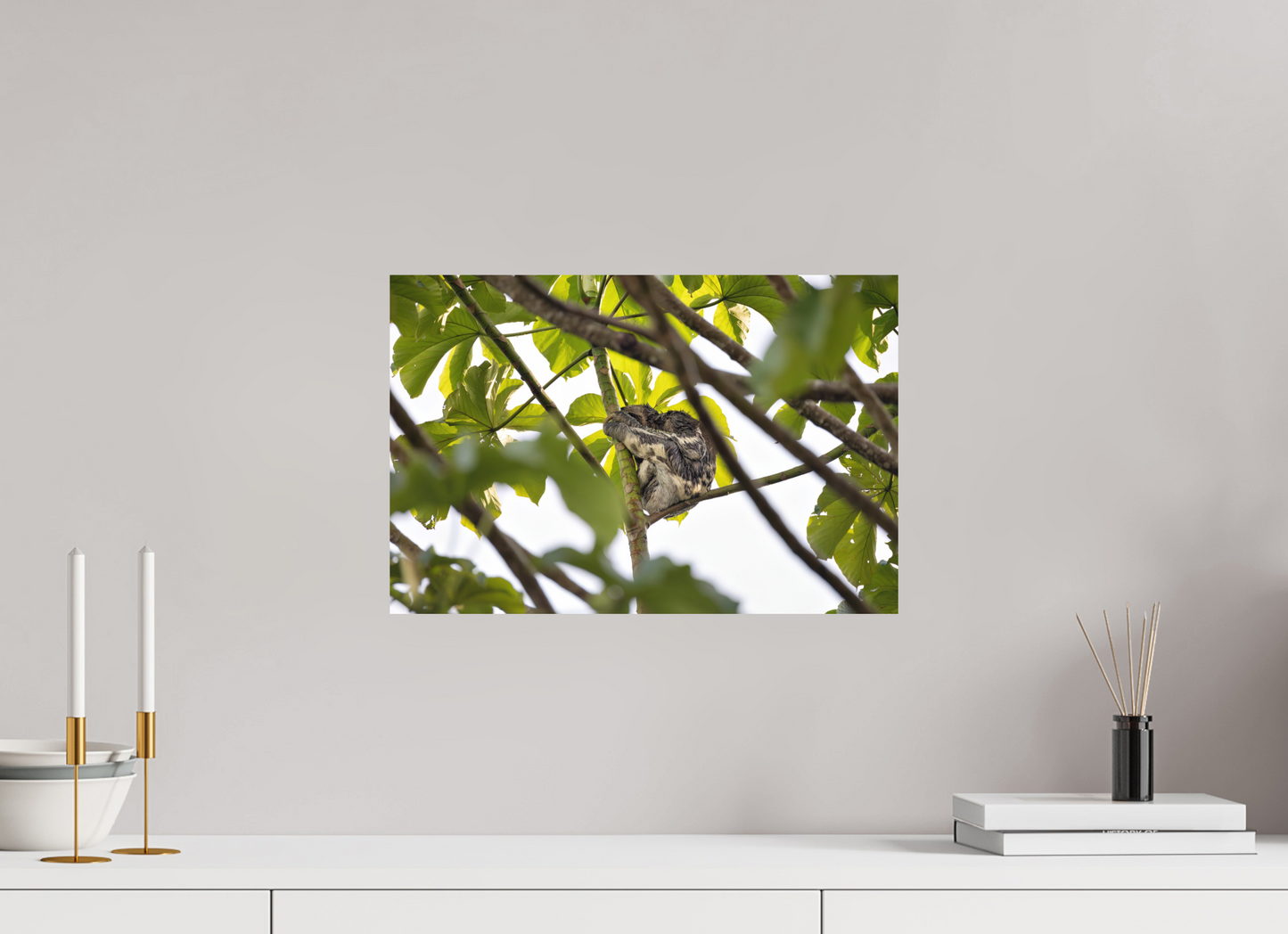 45 x 30 cm, Textured Matte sloth