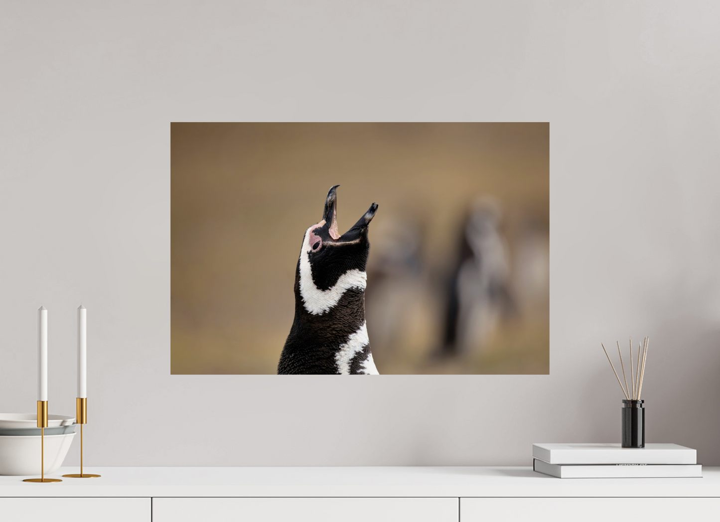 60 x 40 cm, Smooth Glossy .