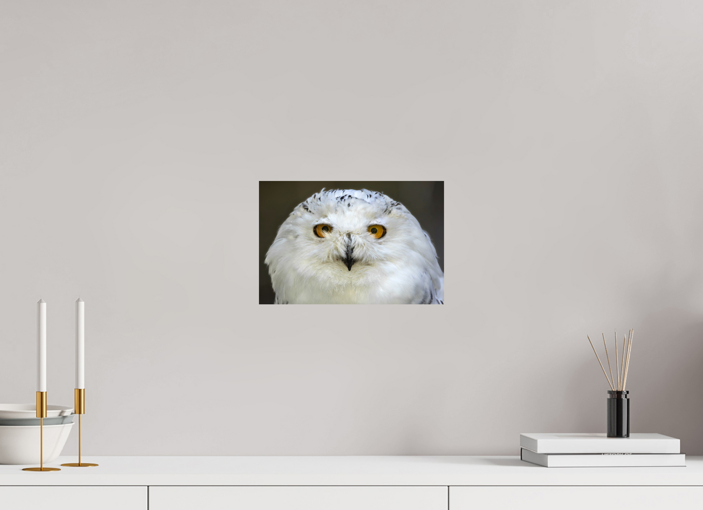30 x 20 cm, Smooth Glossy snowy owl