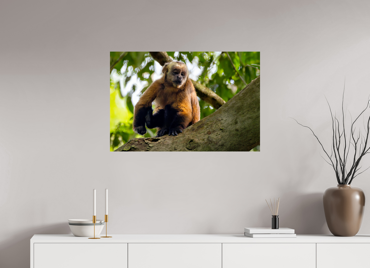 90 x 60 cm, Smooth Glossy Capuchin