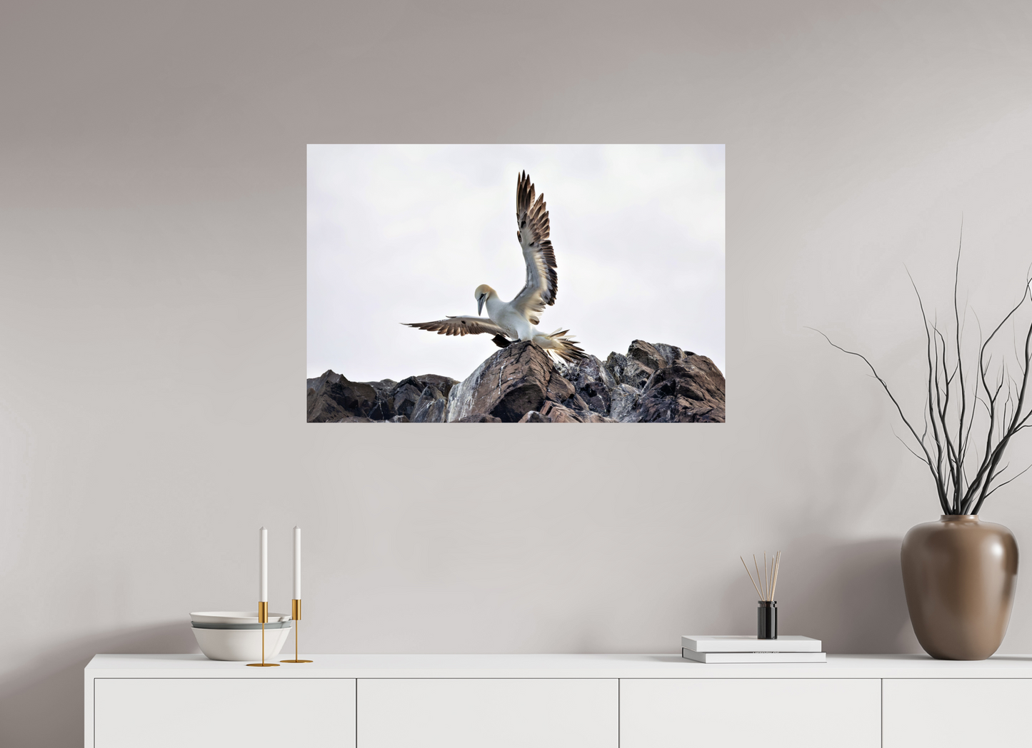 90 x 60 cm, Smooth Glossy gannet landing