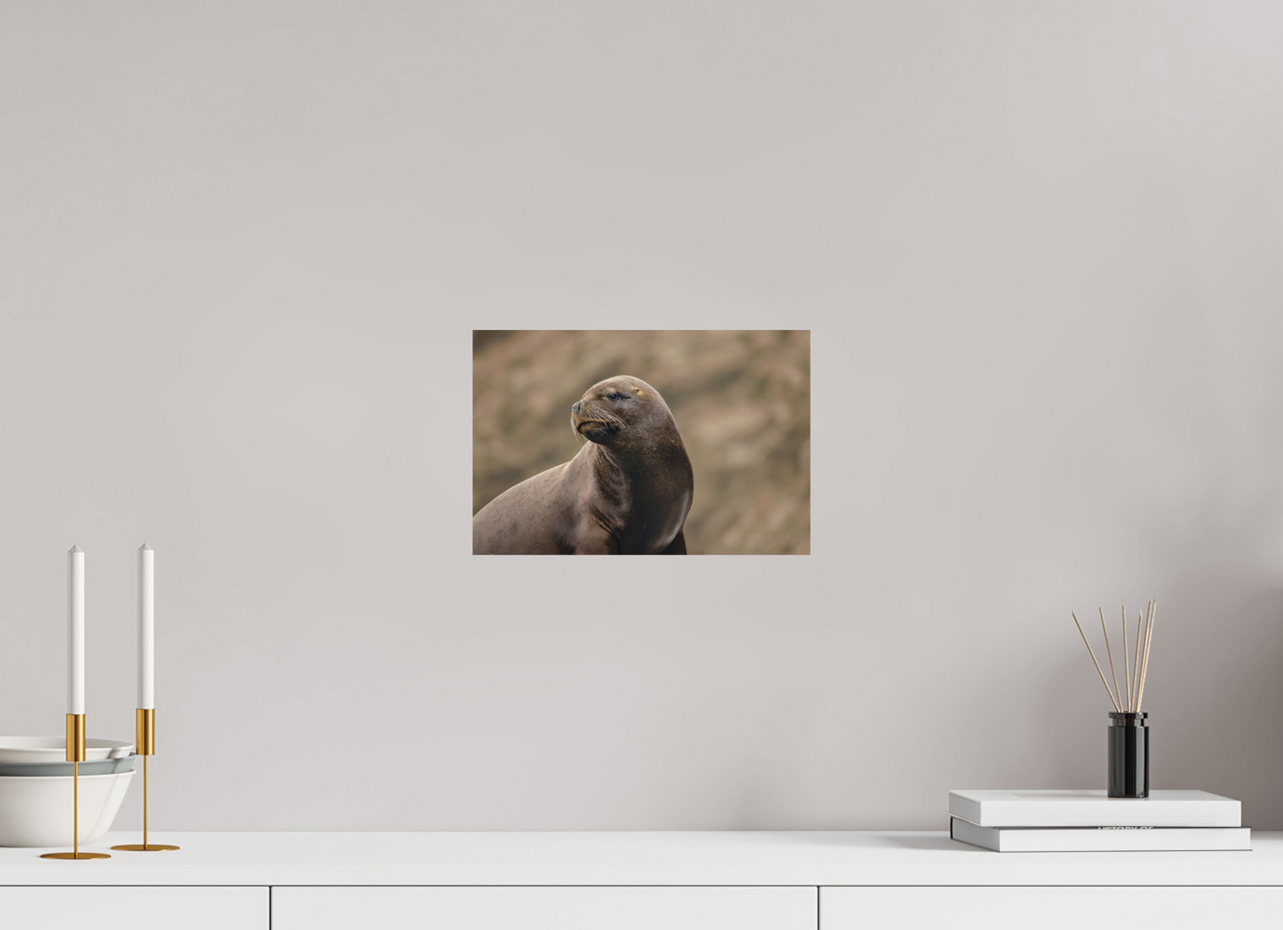 30 x 20 cm, Textured Matte sea lion 3