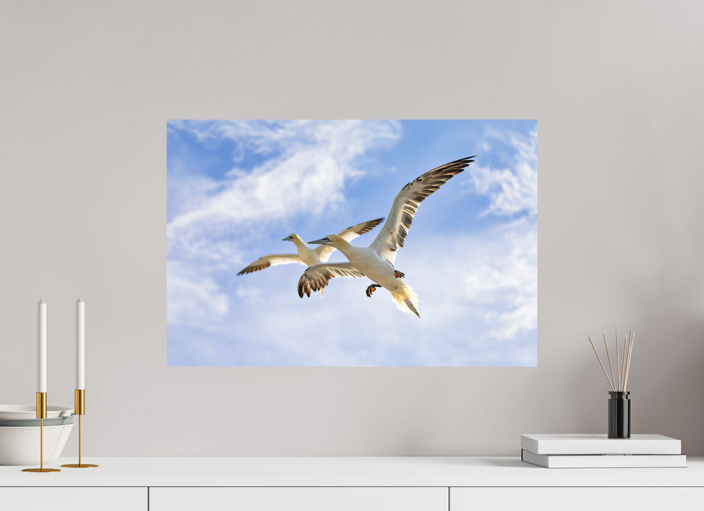 60 x 40 cm, Textured Matte Soaring Seabirds