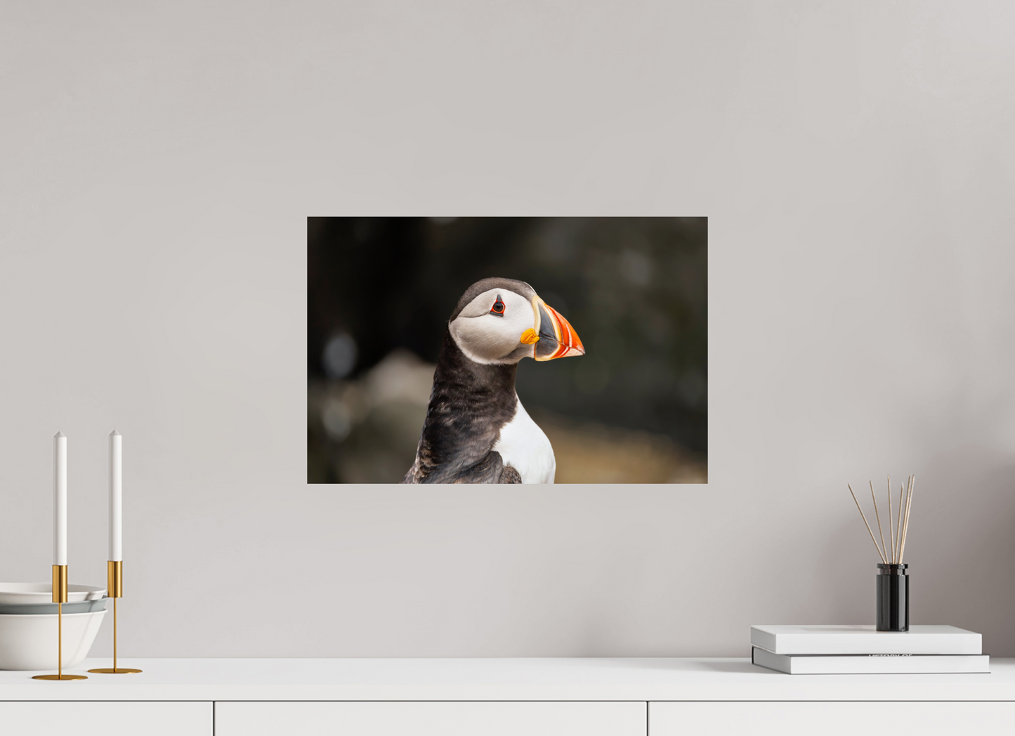 45 x 30 cm, Smooth Glossy puffin5
