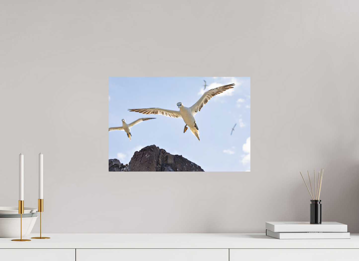 45 x 30 cm, Textured Matte Gannets2