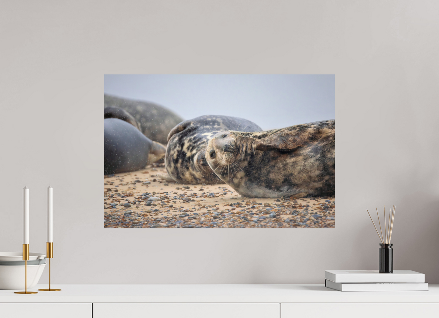 60 x 40 cm, Smooth Glossy seals in the rain 4