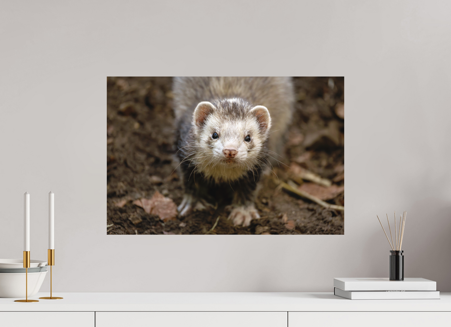 60 x 40 cm, Textured Matte ferret