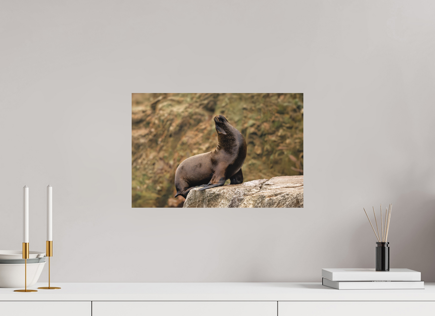 45 x 30 cm, Textured Matte sea lion 2