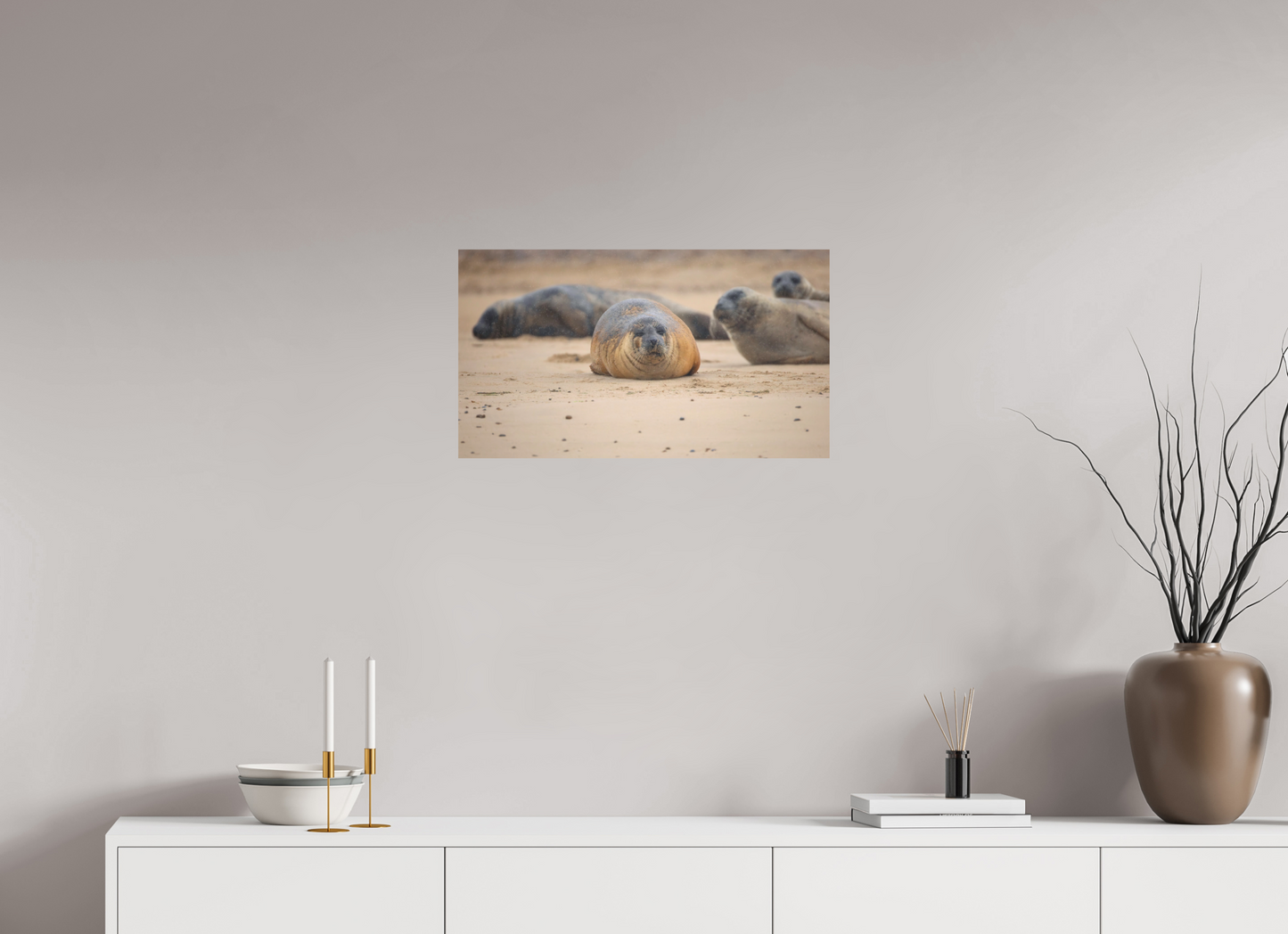 64 x 36 cm, Textured Matte seals in the rain