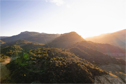 Main image siurana2