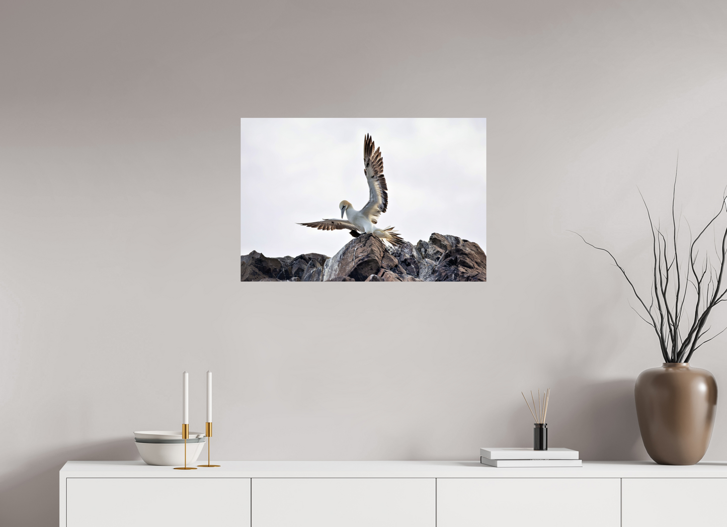 75 x 50 cm, Smooth Glossy gannet landing