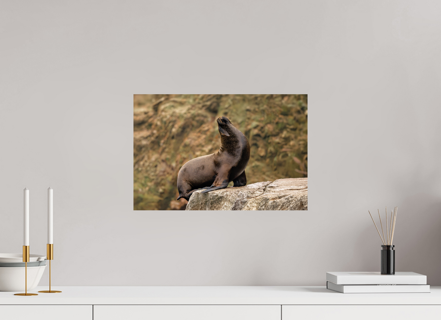 45 x 30 cm, Smooth Glossy sea lion 2