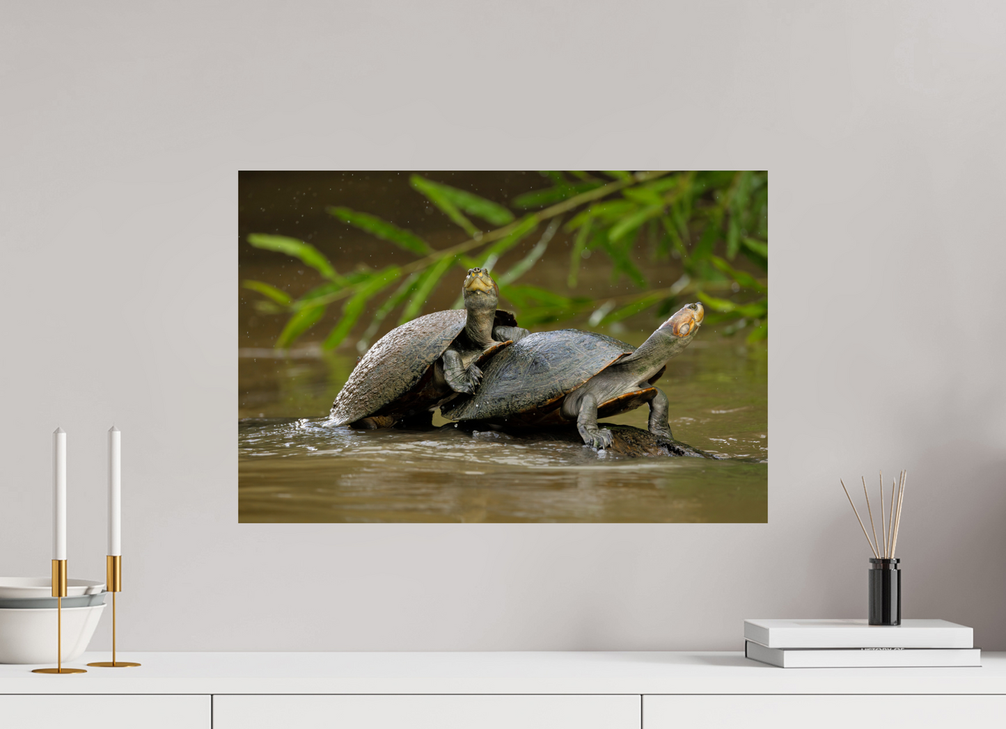 60 x 40 cm, Smooth Glossy .