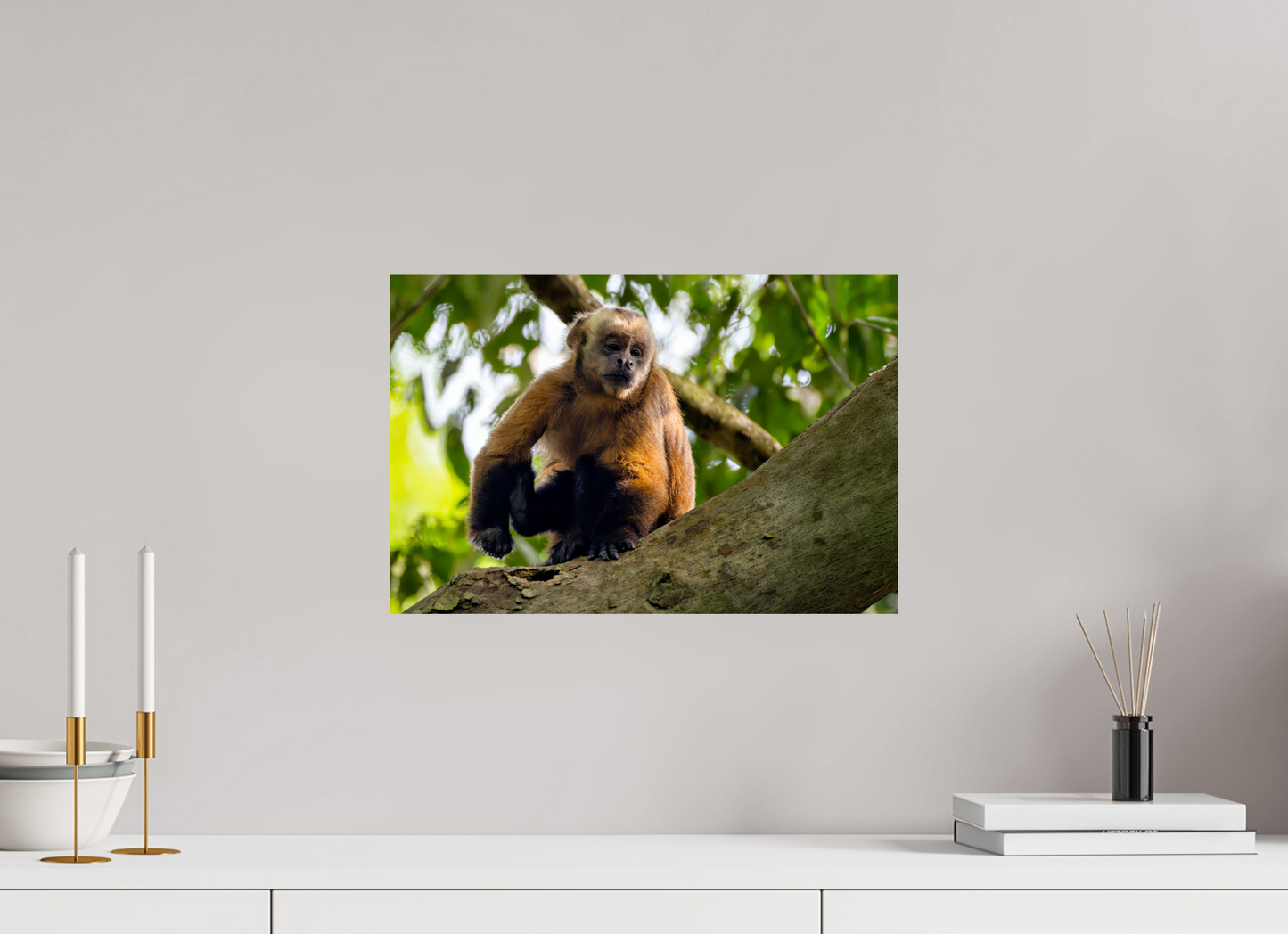 45 x 30 cm, Smooth Glossy Capuchin