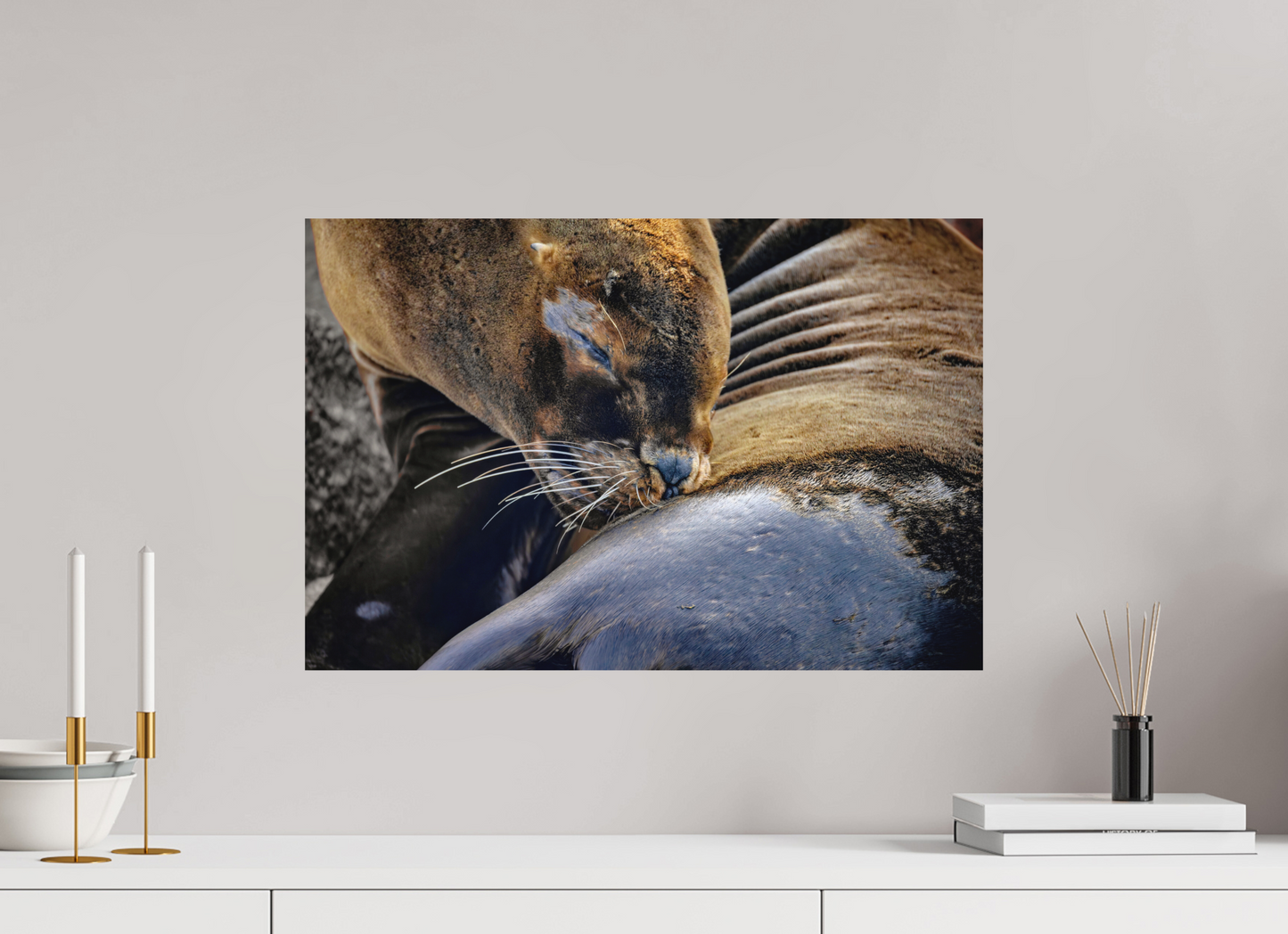 60 x 40 cm, Textured Matte sea lion