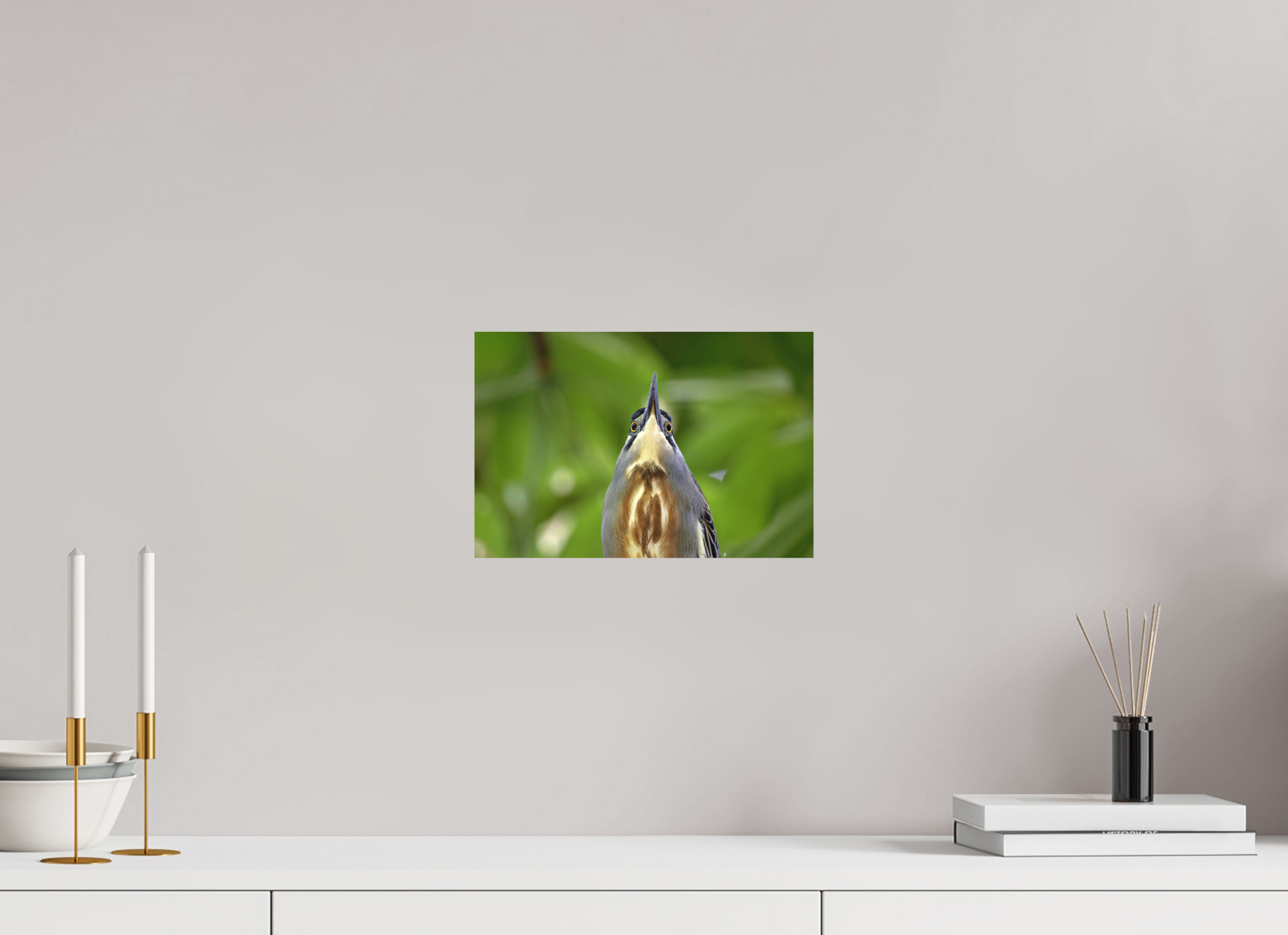 30 x 20 cm, Textured Matte young tiger heron