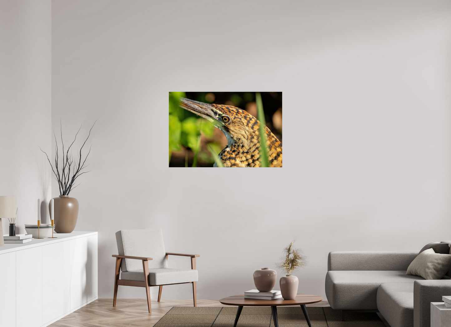 105 x 70 cm, Smooth Glossy tiger heron hunting 2