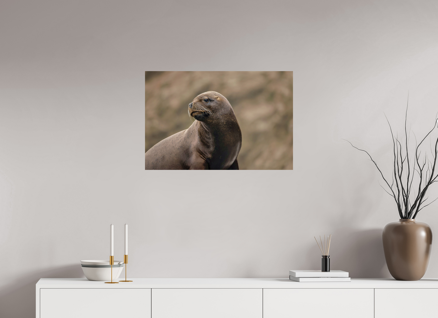75 x 50 cm, Smooth Glossy sea lion 3