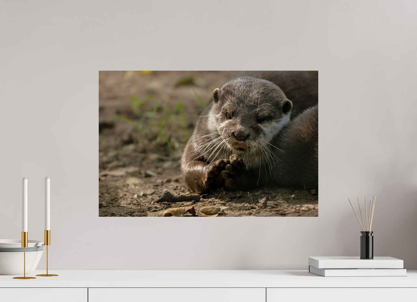 60 x 40 cm, Smooth Glossy otter3