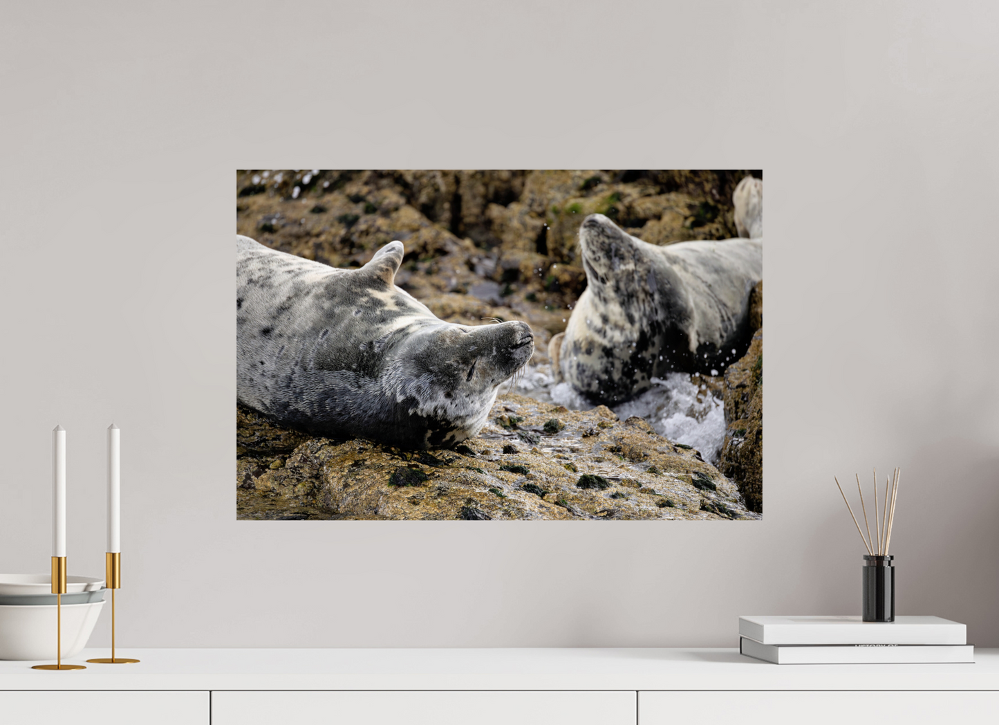 60 x 40 cm, Smooth Glossy .