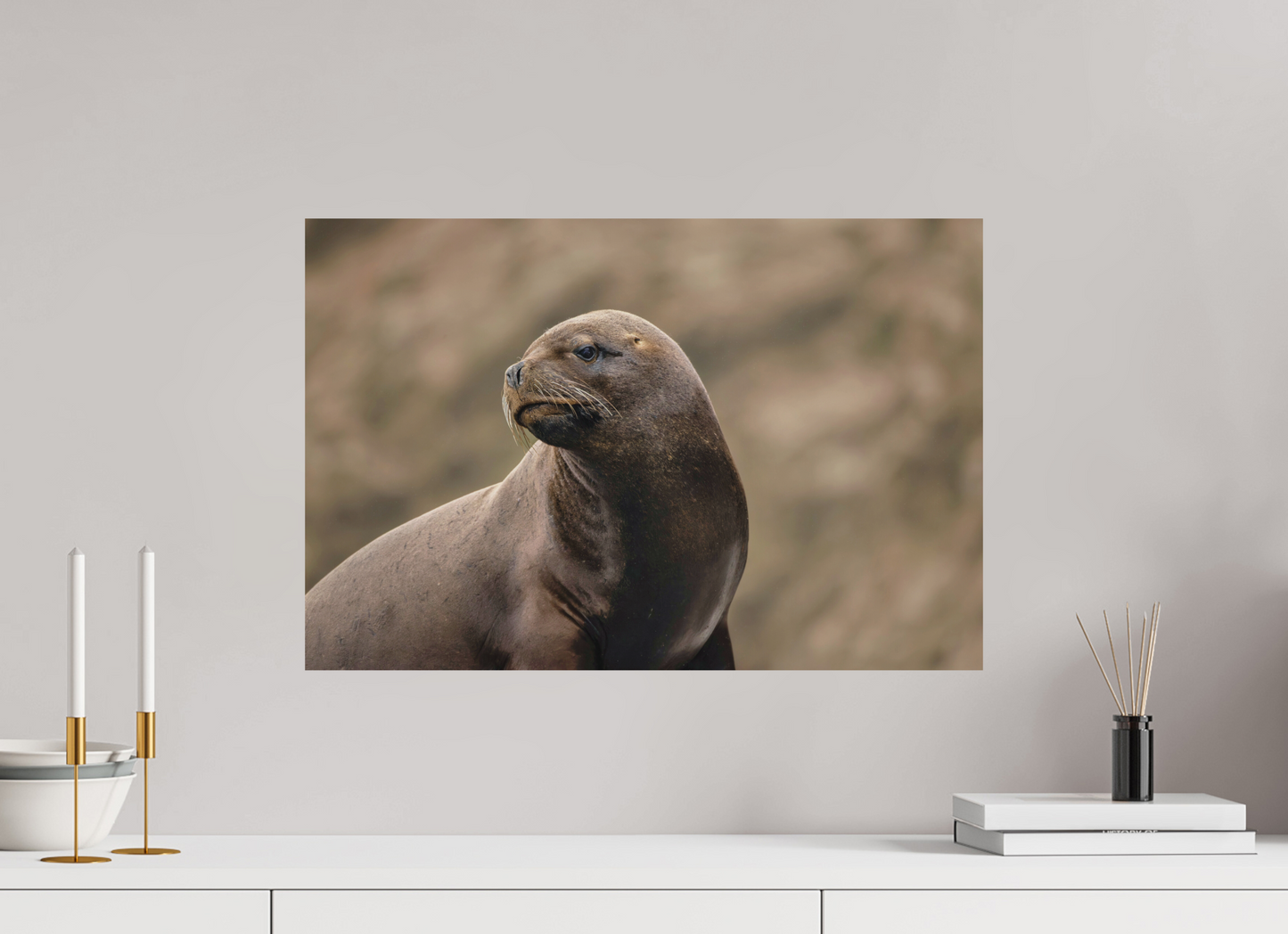 60 x 40 cm, Textured Matte sea lion 3