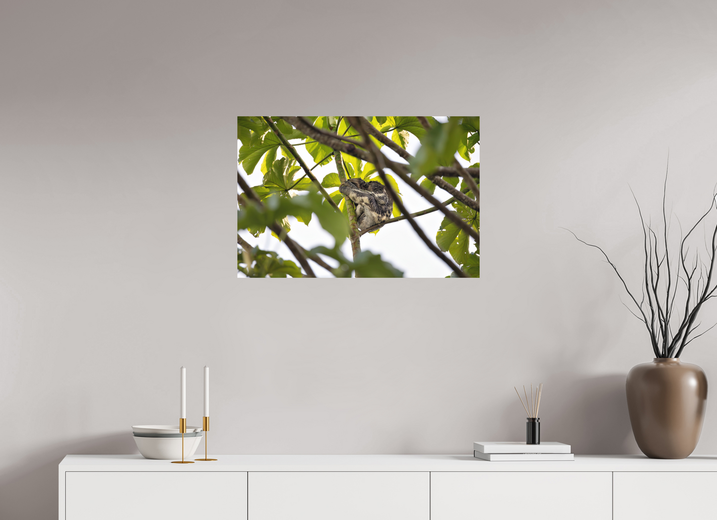 75 x 50 cm, Textured Matte sloth