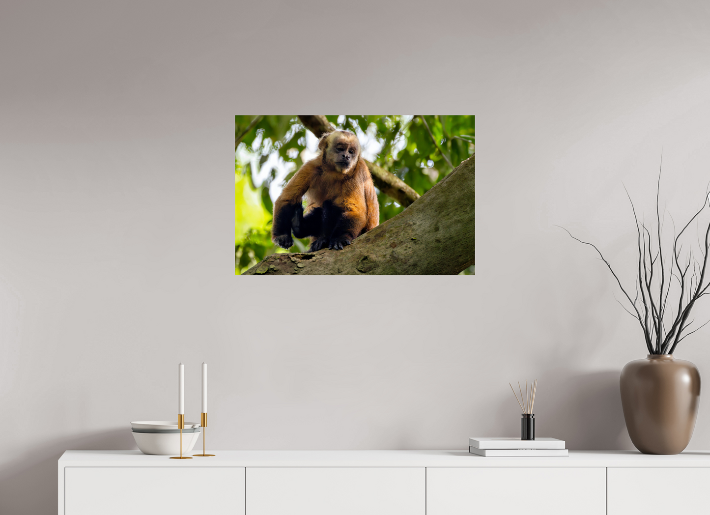75 x 50 cm, Smooth Glossy Capuchin