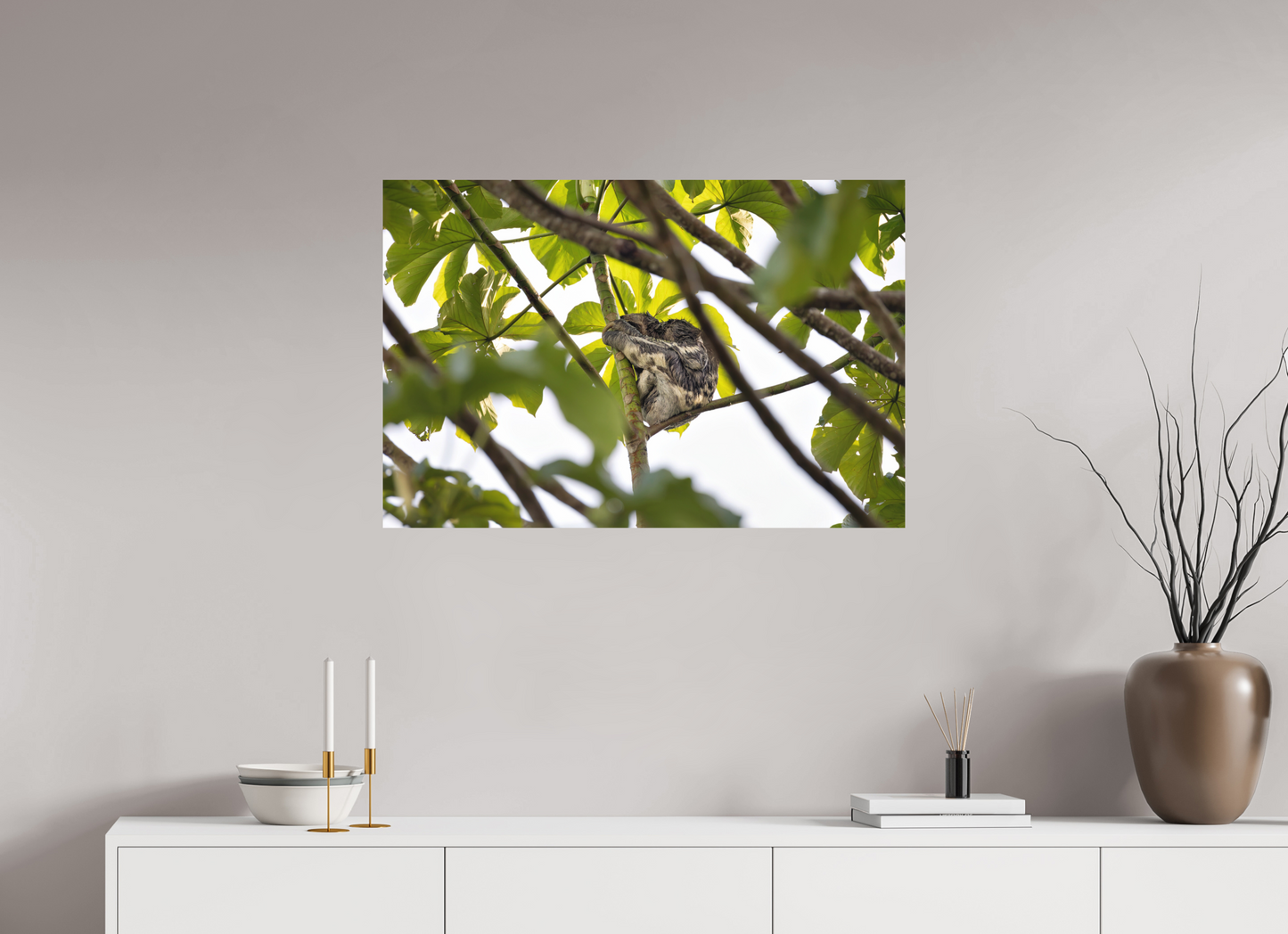 90 x 60 cm, Textured Matte sloth