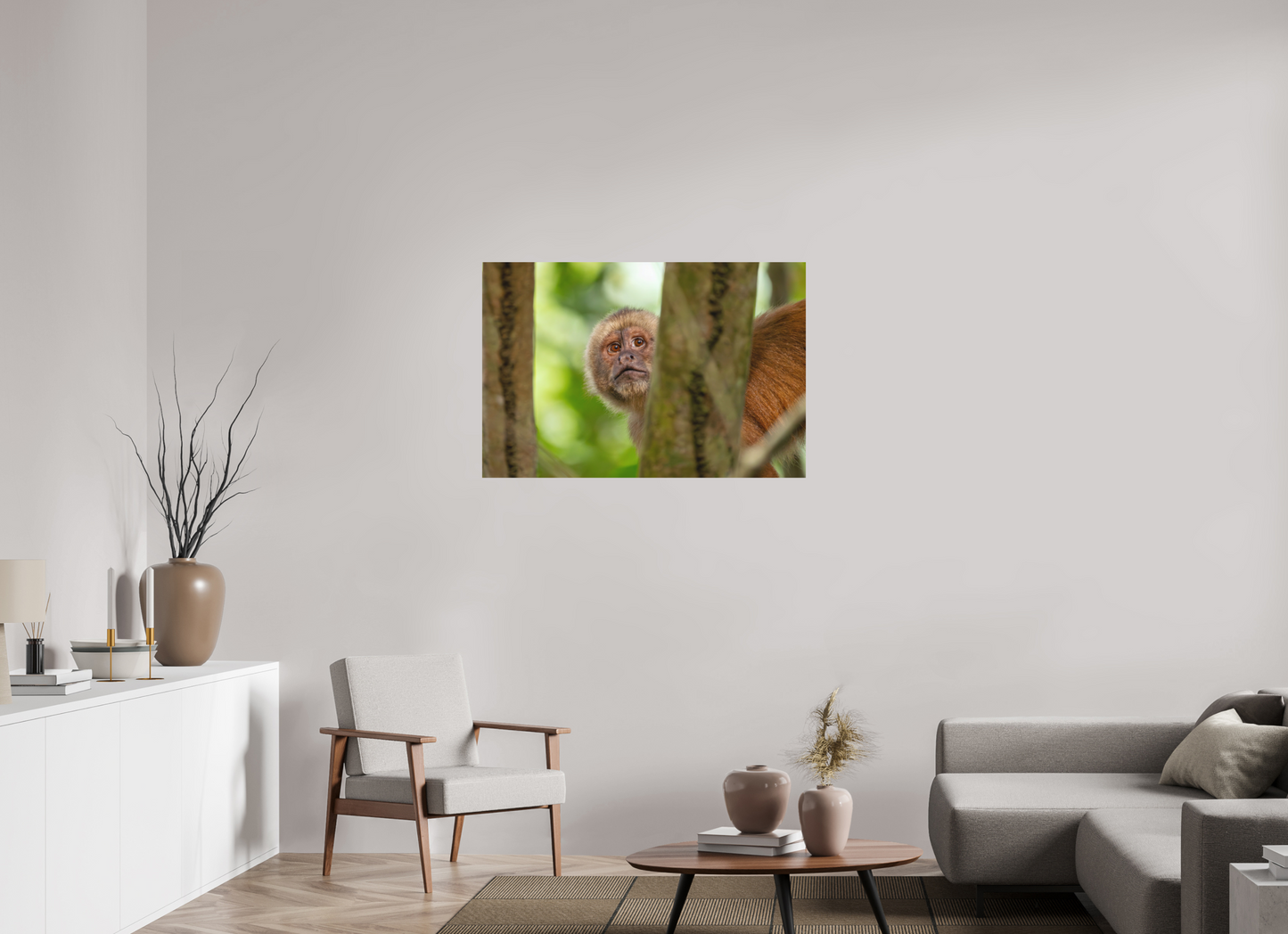 105 x 70 cm, Textured Matte Capuchin Monkey