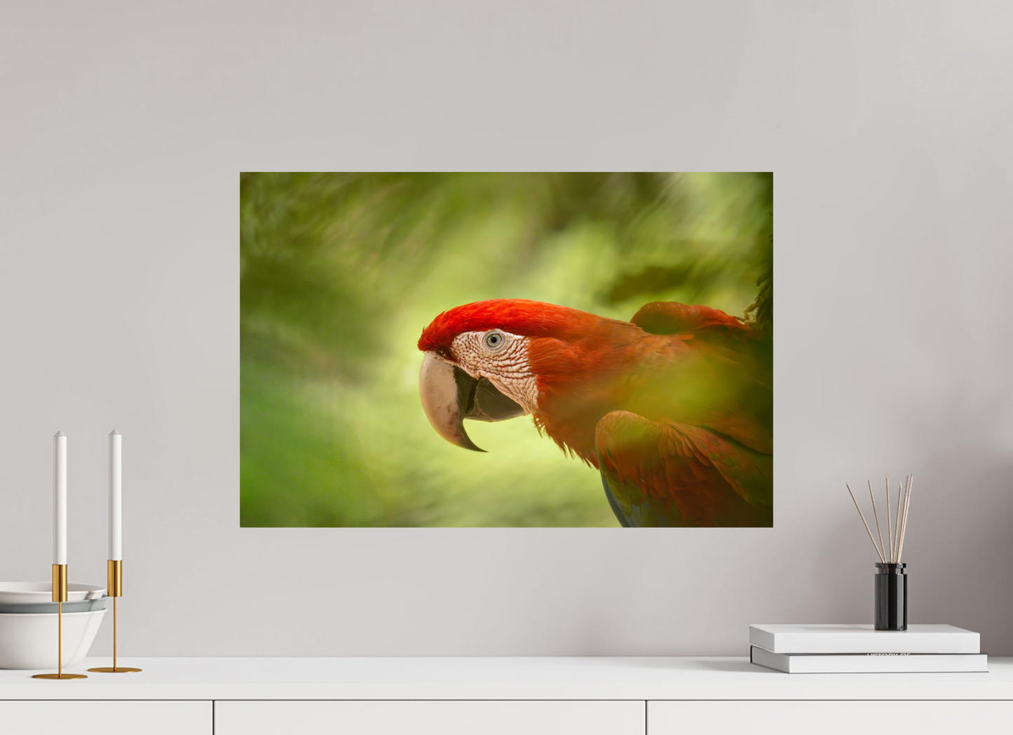 60 x 40 cm, Smooth Glossy Macaw in the tree